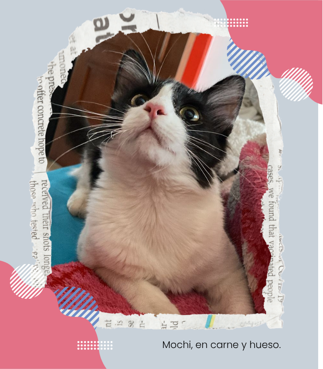 Mochi